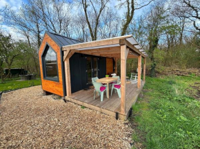 Tiny house on the edge of the woods